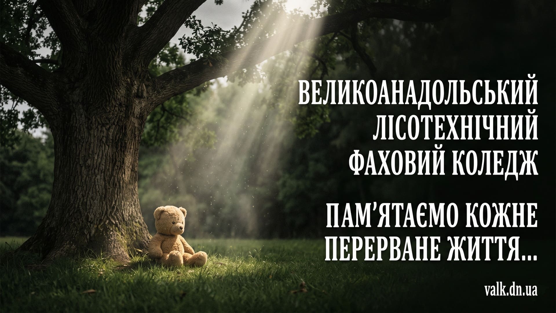������ ���'�� (�����) 3