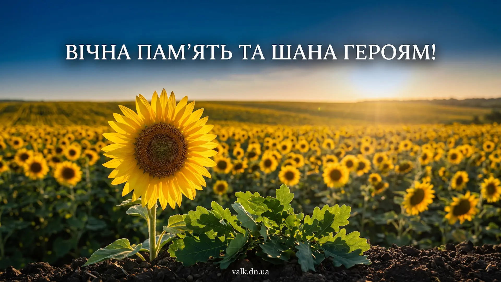 ���� ���'�� ��������� ������