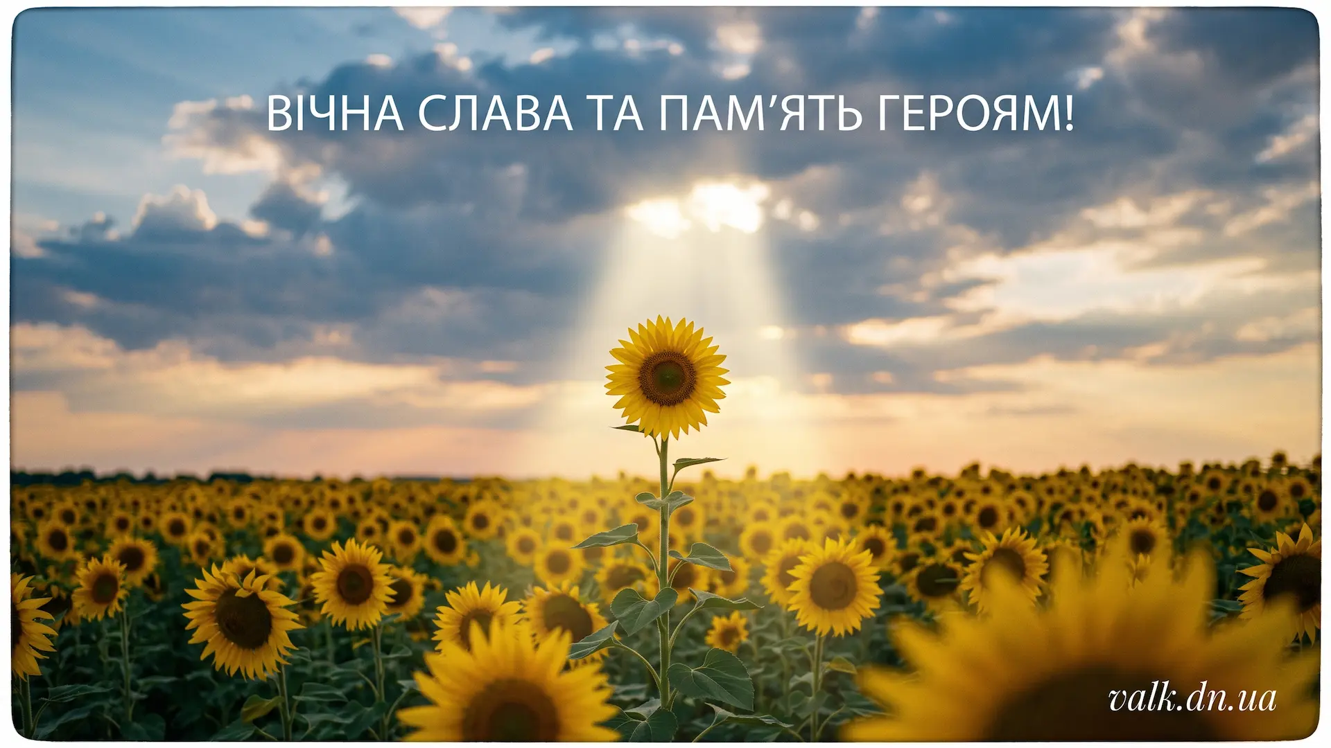 13 ���� ��������